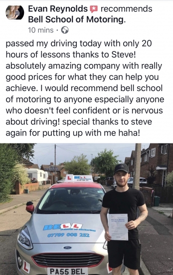 Fantastic Review for STEVE