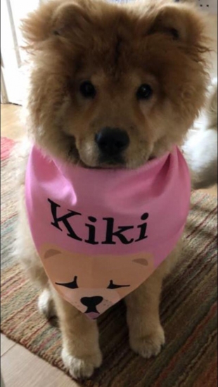 Kiki In Lock Down